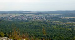 209_TZ60_P1040645_cr