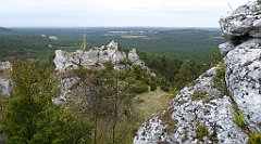 232_TZ60_P1040654_cr