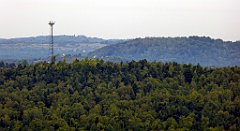 238_TZ60_P1040661_cr