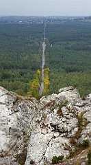 253_TZ60_P1040670_cr