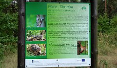 326_TZ60_P1040696_cr