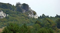 338_TZ60_P1040714_cr