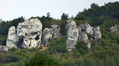 344_TZ60_P1040720_cr