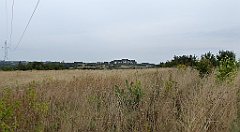 350_TZ60_P1040726_cr