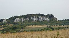 352_TZ60_P1040728_cr