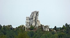 359_TZ60_P1040740_cr