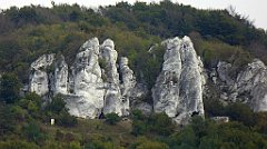 360_TZ60_P1040741_cr