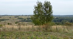 399_TZ60_P1040765_cr