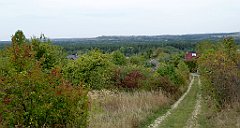 464_TZ60_P1040857_cr