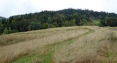 084_TZ60_P1040886_cr