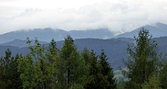 088_TZ60_P1040891_cr