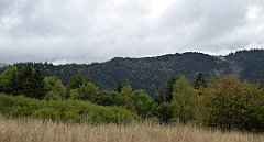 093_TZ60_P1040897_cr