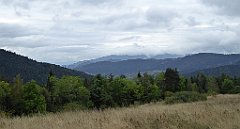 095_TZ60_P1040901_cr