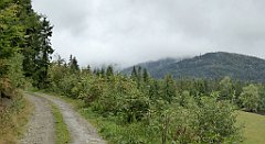 137_TZ60_P1040945_cr