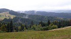 150_TZ60_P1040960_cr