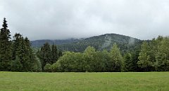 153_TZ60_P1040963_cr