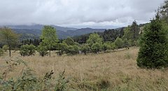 155_TZ60_P1040964_cr