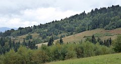 169_TZ60_P1040978_cr