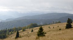 220_TZ60_P1050019_cr