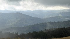 230_TZ60_P1050029_cr