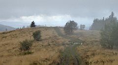 234_TZ60_P1050033_cr