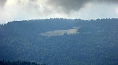 245_TZ60_P1050044_cr