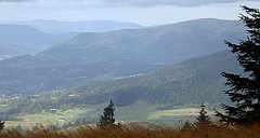 254_TZ60_P1050055_cr