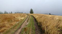 256_TZ60_P1050057_cr