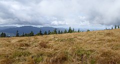 259_TZ60_P1050061_cr