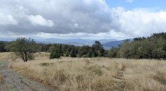 292_TZ60_P1050095_cr