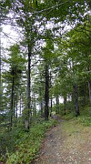 327_TZ60_P1050118_cr