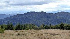 341_TZ60_P1050127_cr