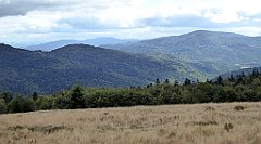 342_TZ60_P1050128_cr