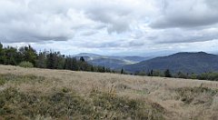 350_TZ60_P1050136_cr