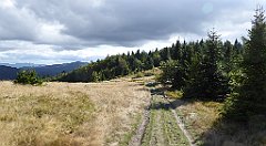 358_TZ60_P1050145_cr