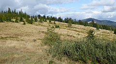 359_TZ60_P1050146_cr