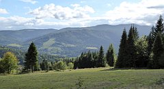 392_TZ60_P1050176_cr