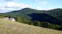 412_TZ60_P1050193_cr