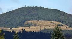 435_TZ60_P1050213_cr