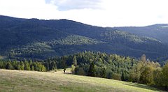 444_TZ60_P1050220_cr