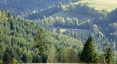 454_TZ60_P1050231_cr