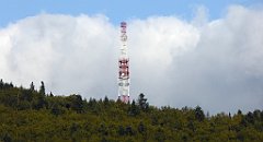 465_TZ60_P1050240_cr