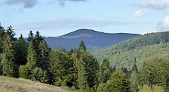 470_TZ60_P1050245_cr