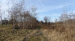 031_TZ60_P1060391_cr