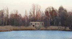 124_TZ60_P1060432_cr