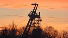 161_TZ60_P1060469_cr