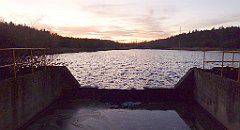 165_TZ60_P1060476_cr