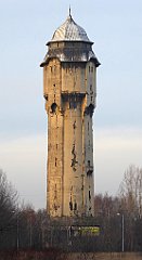 158_TZ60_P1060517_cr