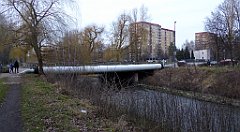 186_TZ60_P1060547_cr