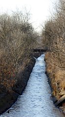 117_TZ60_P1060636_cr